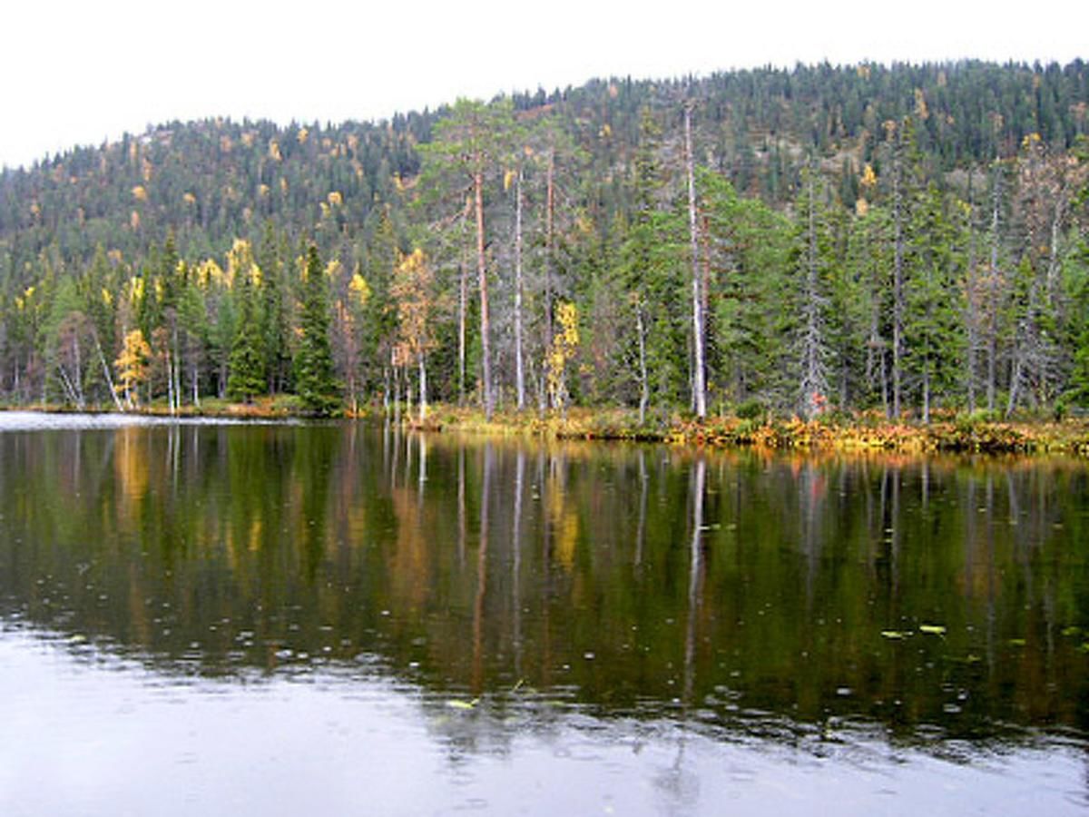 Дома для отпуска Holiday Home Pöllölaakso Рука-27