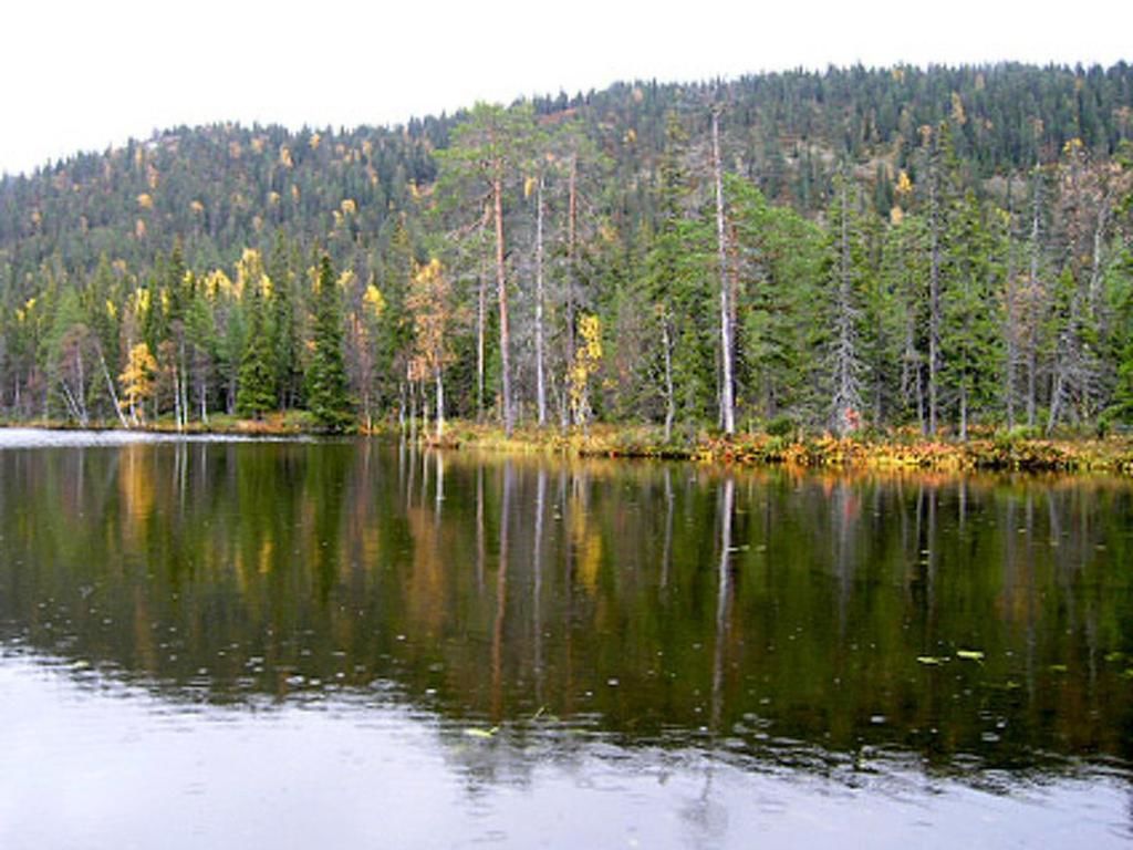 Дома для отпуска Holiday Home Pöllölaakso Рука-71