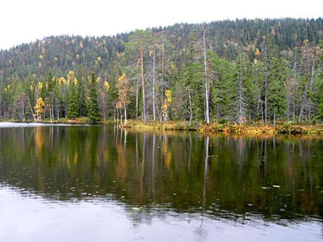 Дома для отпуска Holiday Home Pöllölaakso Рука-70
